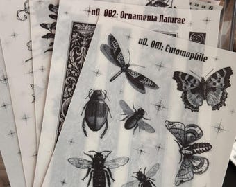 Dark Academia Sticker Bogen für Journaling, Scrapbooking, Planer, Collagen