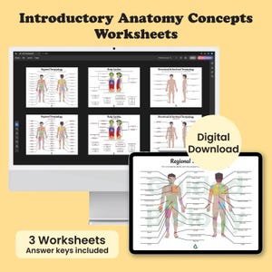 Introductory Anatomy Concepts Worksheets (Digital Download)