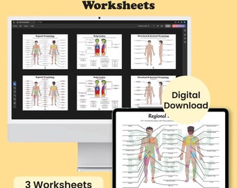Introductory Anatomy Concepts Worksheets (Digital Download)