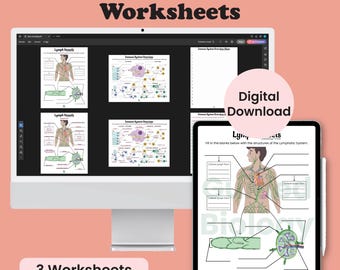 Immunity and Lymphatic Anatomy Worksheets (Digital Download)