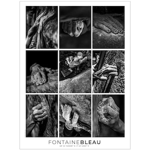 Poster 30x40 cm Felsbrocken im Wald von Fontainebleau, ideal als Innendekoration oder Wandkunst und Geschenk