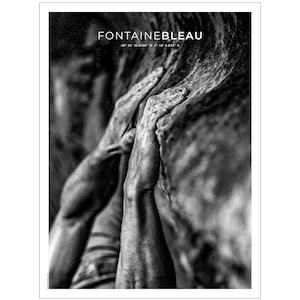 Poster 30x40 cm Felsbrocken im Wald von Fontainebleau, ideal als Innendekoration oder Wandkunst und Geschenk
