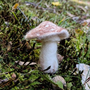 Felted Mushroom Waldorf Toy Woodland Nursery Decor Unique Baby Shower Gift for Child Whymsical Toys Magical Forest Mushroom Felted Fungi