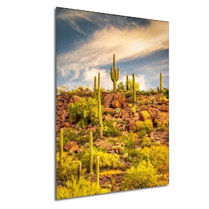 Kaktus Arizona Landschaft Druck - Sonoran Wüste Sonnenaufgang & Sonnenuntergang Fine Art Wanddekor