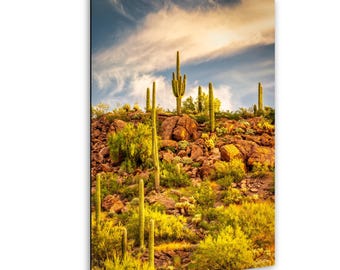 Cactus Arizona Landscape Print - Sonoran Desert Sunrise & Sunset Fine Art Wall Decor