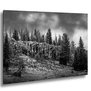 Arizona Landscape National Forest Apache-Sitgreaves Fall Colors Fine Art Print Black & White