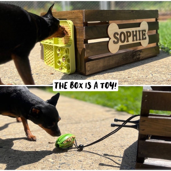 Dog Enrichment Box Etsy