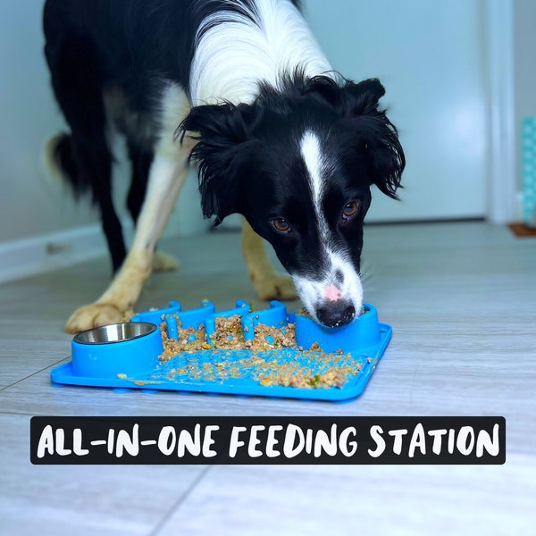 All-In-One Feeding Station - Dog Lick Mat/Slow Feeder with Stainless Steel Bowl