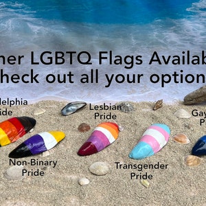 May include: A collection of painted seashells representing different LGBTQ+ pride flags. The flags include Philadelphia Pride, Lesbian Pride, Gay Men Pride, Non-Binary Pride, and Transgender Pride.
