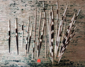 5 assorted porcupine quills