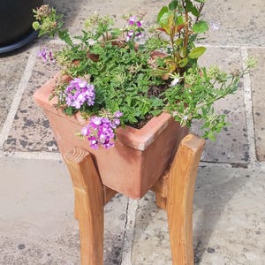 large indoor pine plant pot stand