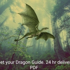 May include: A green dragon flies through a misty forest. The text "Meet your Dragon Guide. 24 hr delivery. PDF" is at the bottom of the image.