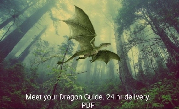 Meet your Dragon Guide. In-Depth 2-3 pages Channeled Message. PDF. 24 hr delivery