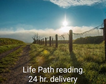 Life Purpose/Soul Mission In-Depth Channeled Message (2 pages). PDF. 24 hr delivery
