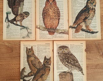 Vintage Owl, Wildlife, Owl Art, Owl Gifts, Animal Prints, Dark Wall Art, Owl Decor, Barn Owl, Gothic Decor, Owl, Owl Painting, Owl Prints