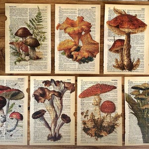 7er Set Kunstdrucke auf alter Wörterbuchseite, Pilze auf alter Buchseite, Pilz Poster, minimalistische botanische Wandkunst