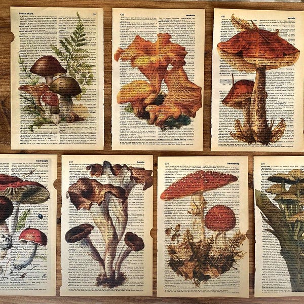 Conjunto de 7 impresiones artísticas en páginas de diccionarios antiguos, impresiones de hongos en páginas de libros antiguos, carteles de hongos, arte mural botánico minimalista.