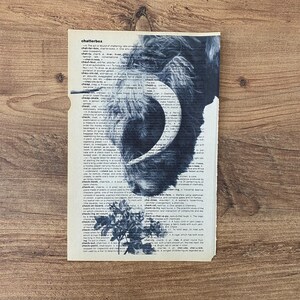 May include: A monochrome artwork depicting a dog's face overlaid on a dictionary page. The dog's fur is rendered with shading, and the dictionary page shows text and a torn edge. The artwork is displayed against a wooden background.