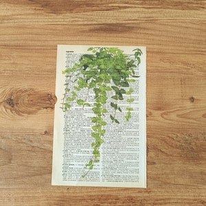 Op de afbeelding: Een vintage woordenboekpagina met het woord "express" gemarkeerd. Groene bladeren groeien over de pagina en cre&euml;ren een natuurlijk, botanisch ontwerp.