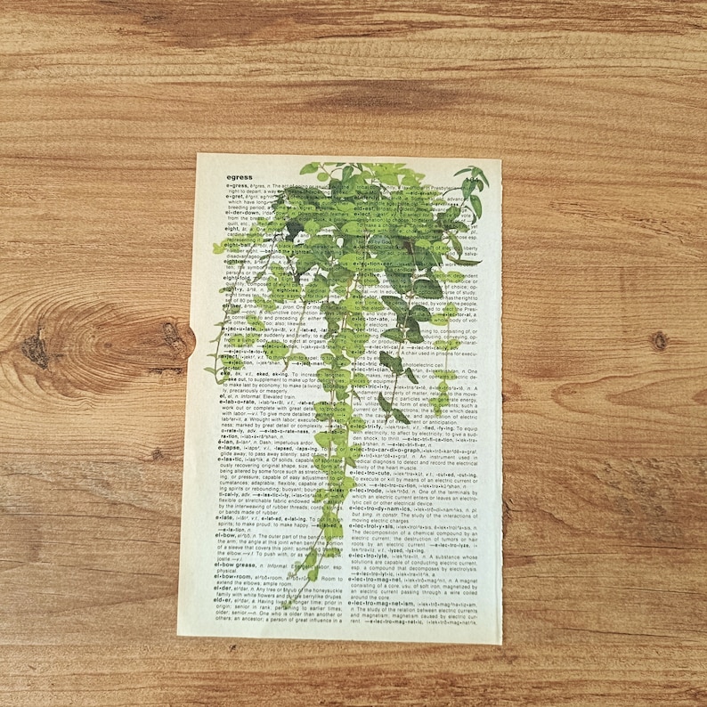 Op de afbeelding: Een vintage woordenboekpagina met het woord "express" gemarkeerd. Groene bladeren groeien over de pagina en cre&euml;ren een natuurlijk, botanisch ontwerp.