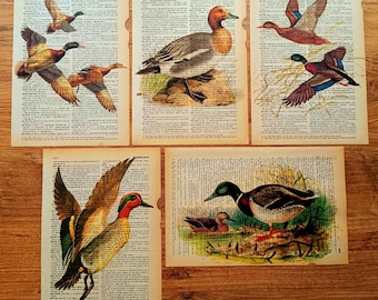 Vintage Duck Dictionary Art Print: Lake House Cabin Decor