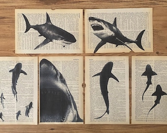Shark Dictionary, Old Page Art, Shark Art, Shark Wall Art, Shark Print, Ocean Animal Nursery, Wall Art For Kids, Shark Nursery Theme, Shark