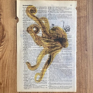 Set of 6 art prints on old dictionary page, octopus on antique book page print, bathroom wall art, octopus, octopus home decor, image 10