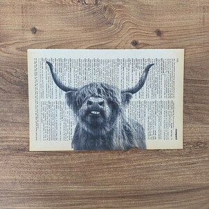 May include: Monochrome print of a Highland cow, set against a backdrop of a vintage dictionary page. The cow features long, flowing fur and prominent horns. The paper has a yellowed hue.