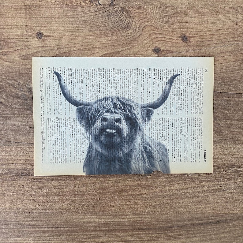 May include: Monochrome print of a Highland cow, set against a backdrop of a vintage dictionary page. The cow features long, flowing fur and prominent horns. The paper has a yellowed hue.