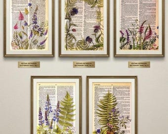 Set of 5 Art Prints on Old Dictionary Page, Cheesecloth Vintage Print, Flower Market Poster, Dried Flower Bouquet, Botanical Print