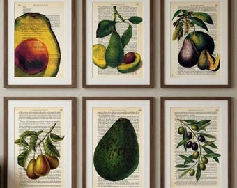 Avocado Art Print on Vintage Dictionary Page, Retro Avocado Gift, Botanical Kitchen Wall Decor, Avocado Kunstdruck, Wöterbuch Druck,Avocado