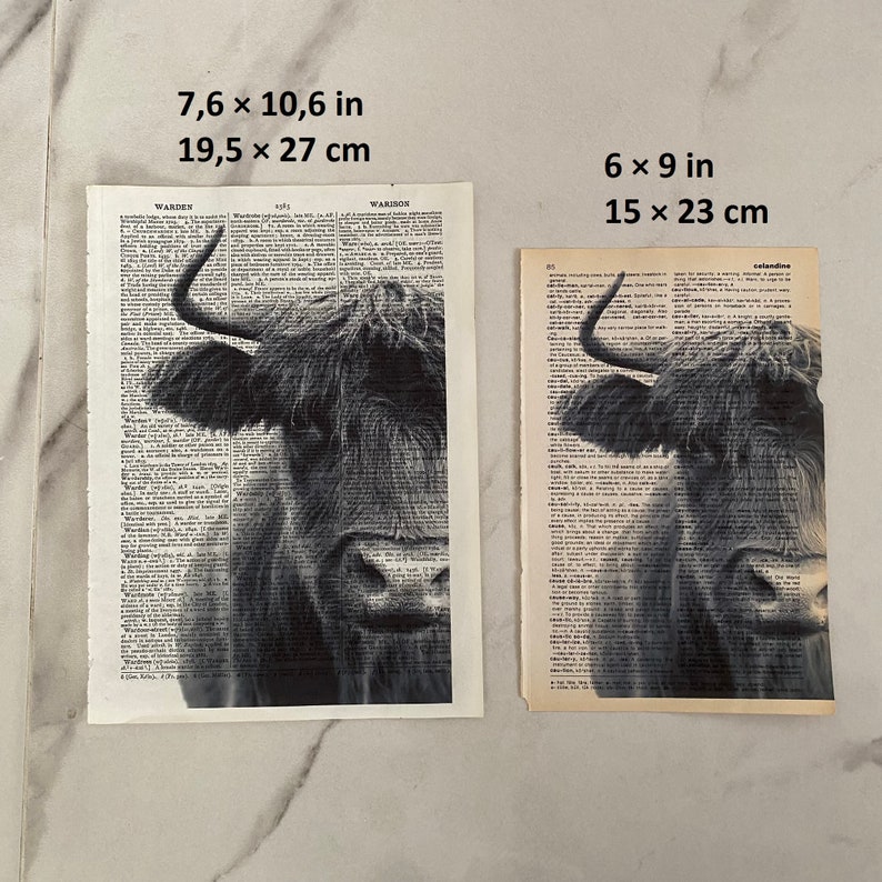 May include: Two black and white prints of a Highland cow, printed on vintage dictionary pages. The larger print measures 19.5 x 27 cm, and the smaller one is 15 x 23 cm. The word "WARDEN" is visible on the larger print.