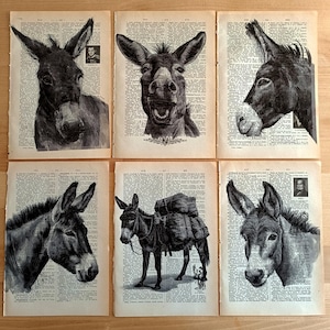 Moody Country Wall Art, Farm Animals Oil Painting, Baby Animal Prints, Farmhouse Animal Photo, Cute Donkey Print, Donkey Print, Donkey Gifts