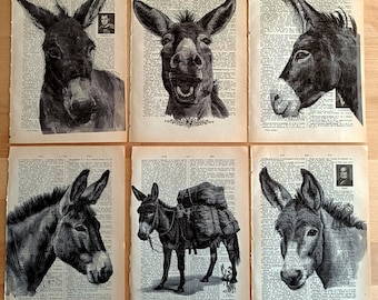 Humeurige landmuurkunst, boerderijdieren olieverfschilderij, babydierenprints, boerderijdierenfoto, schattige ezelprint, ezelprint, ezelcadeaus