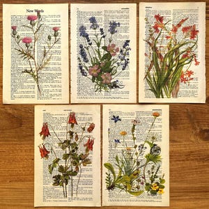 Dictionary Art; Wildlowers, Flower Print, Flower Line Art, Antique Botanical, Nature Art Print, Flower Painting, Wildflower Dictionary Print
