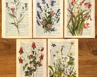 Dictionary Art; Wildlowers, Flower Print, Flower Line Art, Antique Botanical, Nature Art Print, Flower Painting, Wildflower Dictionary Print