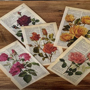 Rose Poster-Roses Pictures-Roses theme on book page-floral posters-vintage botanical wall art-pink roses wall art-Ret Roses Prints