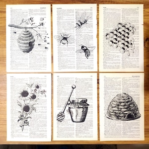 Stampa del tema dell'ape del miele sulla pagina del dizionario vintage, decorazioni delle api