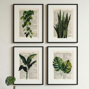 Zestaw 4 botanicznych dekoracji ściennych w stylu vintage, wydruki stron słownika, dekoracja z potosami wężowymi i potworami, sztuka szklarniowa, prezent dla miłośnika roślin, sztuka boho