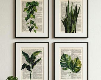 Vintage Botanical Wall Art Set of 4, Dictionary Page Prints, Monstera Snake Plant Pothos Decor, Greenhouse Art, Plant Lover Gift, Boho Art