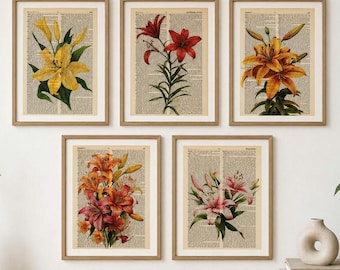 Set di 5 stampe da dizionario con gigli, decorazioni murali con gigli, acquerelli con gigli, mughetto, pressatura di fiori, decorazioni murali con gigli