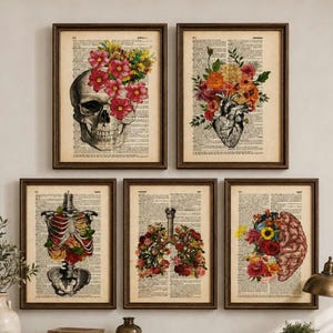 Può includere: Un set di cinque stampe da parete incorniciate su pagine di dizionario vintage con illustrazioni anatomiche di teschio, cuore, cassa toracica, polmoni e cervello, decorate con composizioni floreali nei colori rosso, giallo e verde.