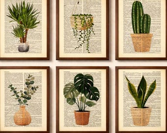 Indoor Plant Print on Dictionary Page, Botanical Art, Kitchen and Dining Prints, Book Art, Green Wall Decor, Plant Print, Succulent Print