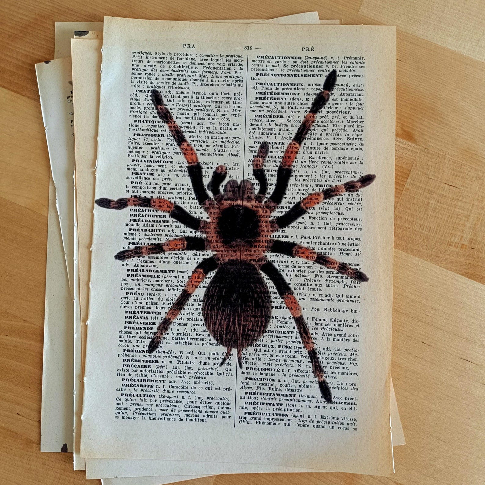 Set of 7 Insect Dictionary Prints–vintage Bug Wall Art–entomology ...