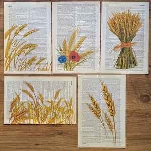 Set of 5 Wheat Dictionary Print, Wheat Poster, Vintage Wheat, Botanical Art Print, Kitchen Decor, Wheat Theme, Trendy Poster, Wheat Bouquet