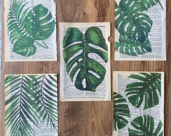 Set of 5 monstera dictionary print, botanical wall art, monstera leaf, tropical wall art, antique draft set, botanical dictionary, art print