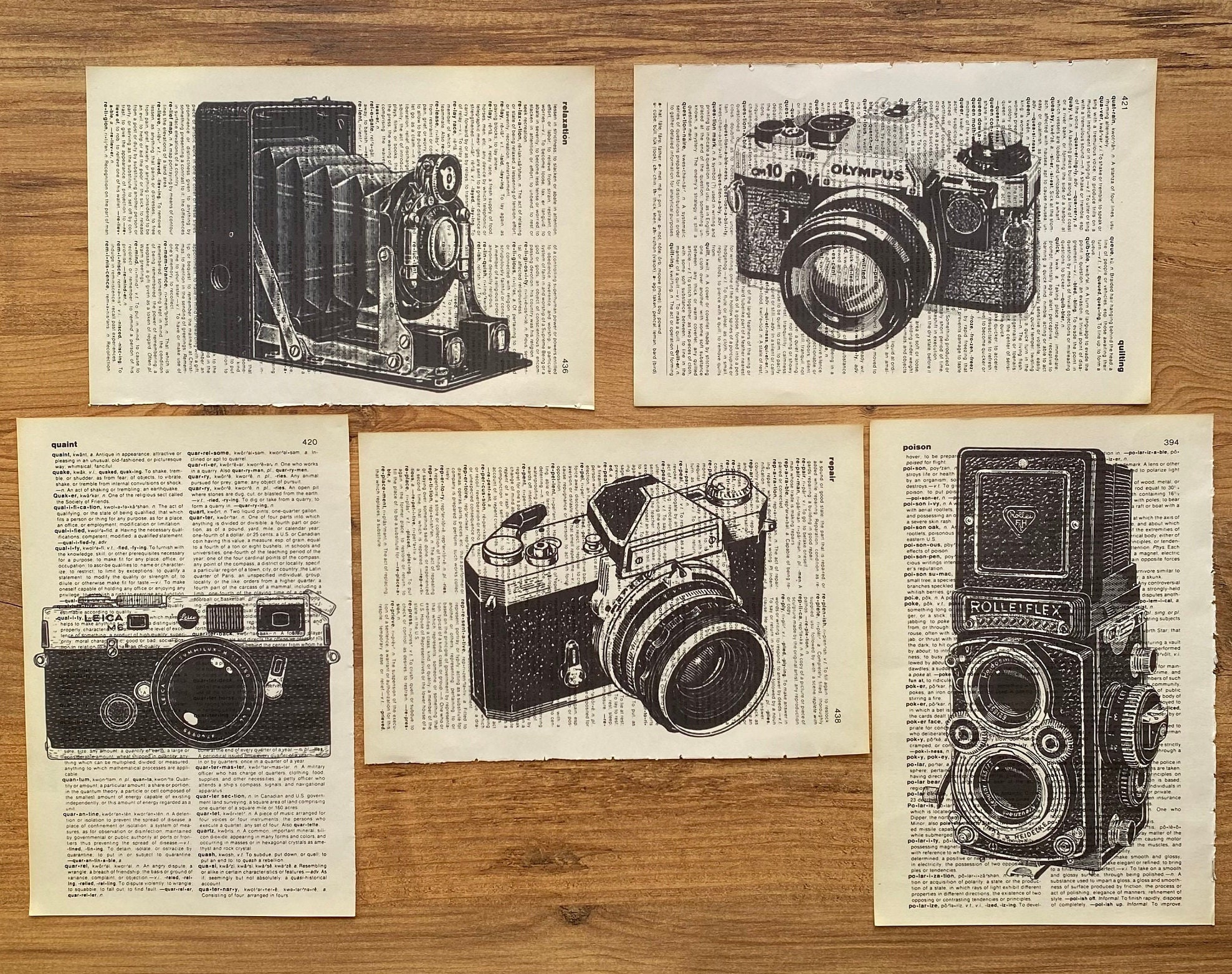 Vintage Camera Book Page Print, Black and White Art, Camera