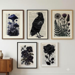 May include: A set of five framed wall art prints featuring dark botanical and animal illustrations printed over vintage dictionary pages. The collection includes a blue mushroom cluster, a black raven, ferns with thistles, pansies, and a black rose.