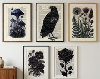 Gothic Botanical Wall Art Set of 5, Raven & Black Rose Print, Dark Academia Book Page Art, Vintage Botanical Illustration, Witchy Decor