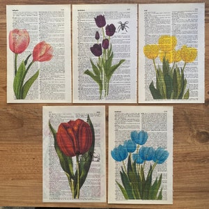 Set of 5 Tulip Dictionary Print, Botanical Prints, Tulip Wall Decor, Flower Prints, Tulip Dictionary Artwork, Bathroom Decor, Red Tulip